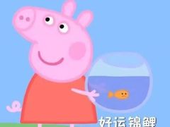 -环球雅思托福SAT留学语言培训学校(高新校区)