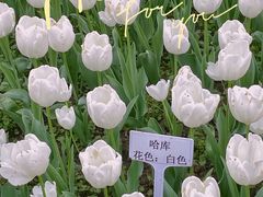 -静安雕塑公园