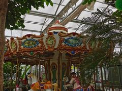 -南宫五洲植物乐园