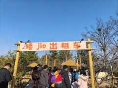 -茅山东方盐湖城景区