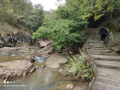 -广州白江湖森林公园