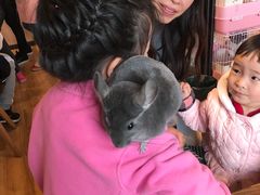 -藦茜花园宠物主题亲子互动体验馆(国顺东路店)