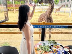 -西霞口神雕山野生动物世界