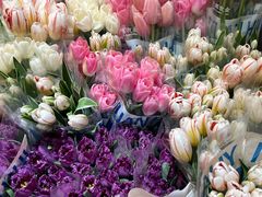 -循礼门鲜花花市(武汉循礼门店)