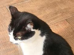 -路易时光(蕴川路店)