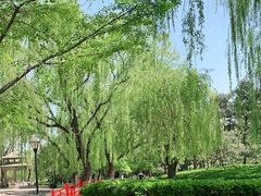 -玲珑塔公园