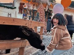 -HERRE·FARM 赫尔露营农场·团建聚会包场