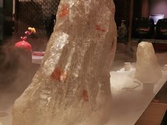 -京华烟云·北京烤鸭(领展购物广场·中关村店)