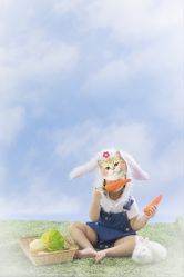 -DORA kids 朵拉儿童摄影花园店