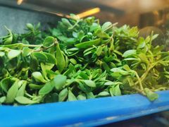 -老味道1992(武当山店)