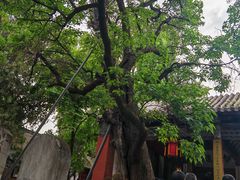 -南阳卧龙岗武侯祠