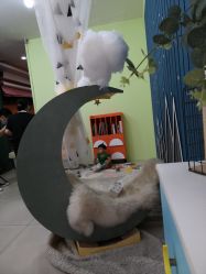 点击看大图 -婴爱儿童摄影 BabyloveStudio(中山门店)