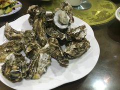 -渔家小院观海海肠捞饭地方菜(环海中路店)