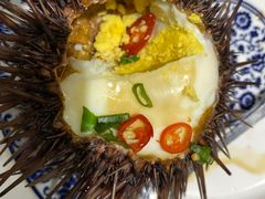 -小海丁
