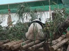 -广州动物园