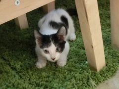 -MIKAKU(万达广场上海宝山店)