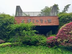-杭州植物园