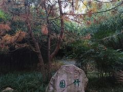 -洛阳市隋唐城遗址植物园