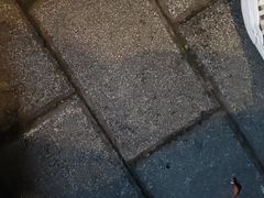 -大竹林卤菜(慈竹苑店)