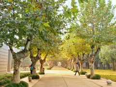 -扬州中集格兰云天大酒店