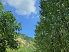 -百里山水画廊