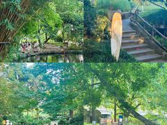 -成都市活水公园