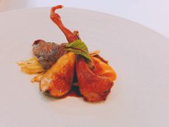 -蝶舍·MAISON PAPILLON