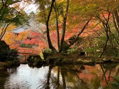 -醍醐寺