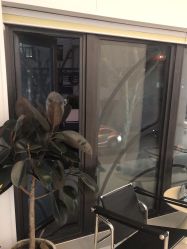 -魔型社烫染店