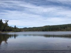 -五营红松林海景区