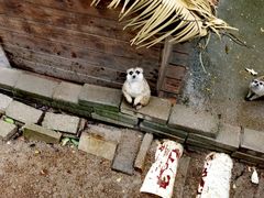 -呀诺达热带雨林