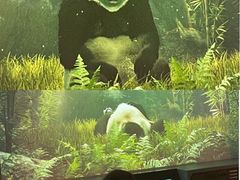 -珠海横琴国家地理探险家中心(创新方)