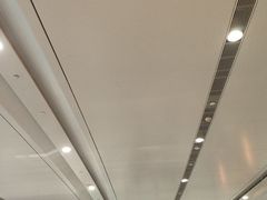 -麦当劳(北京大兴机场二层国内到达(安检外)店)