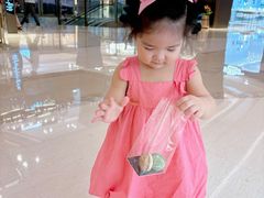 -PAUL LAFAYET 法式甜品(港汇广场店)