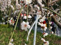 景点-静安雕塑公园