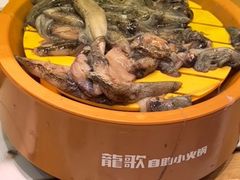 -龍歌自助小火锅(崂山丽达店)