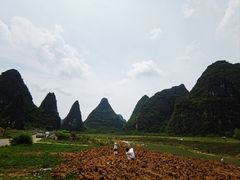 -钟山水墨田园