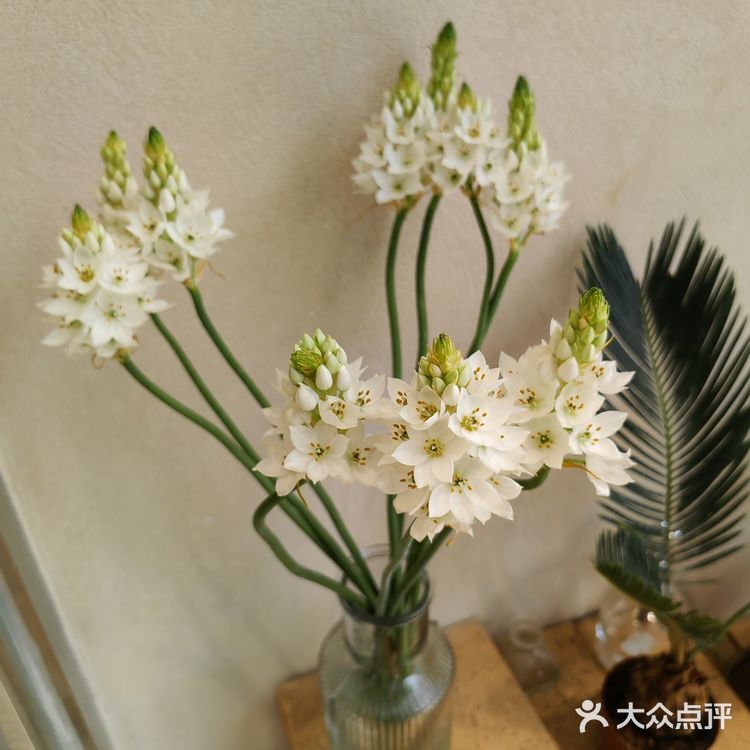 店面不大。门口的椅子去的时候有人坐啦，很适合拍照…