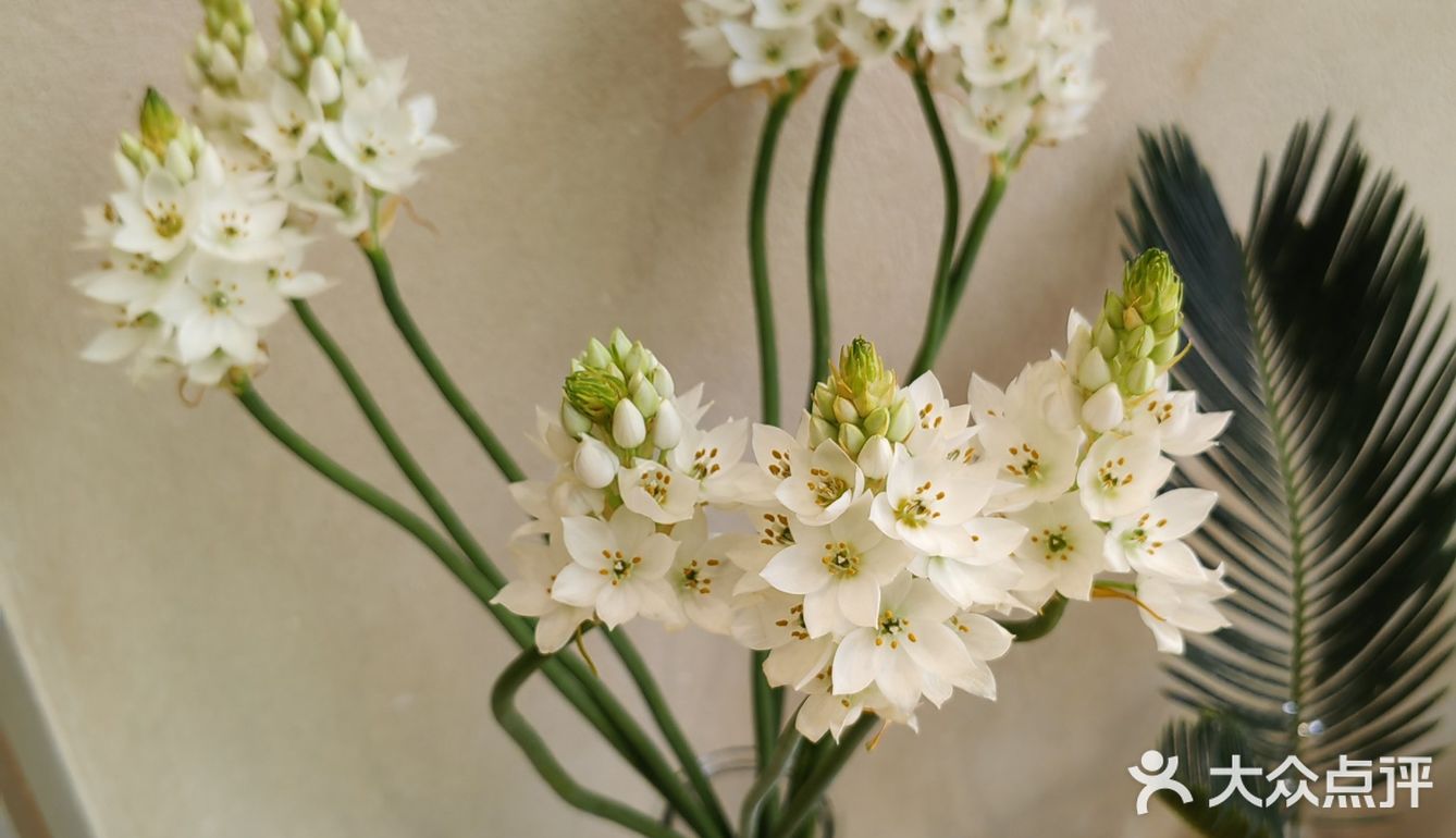 店面不大。门口的椅子去的时候有人坐啦，很适合拍照…