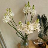 店面不大。门口的椅子去的时候有人坐啦，很适合拍照…