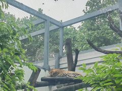 -成都动物园