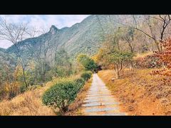 -郧西五龙河风景区