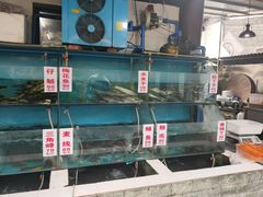 水产区-高坎一品甲鱼庄(两河店)