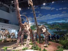 -自贡恐龙博物馆