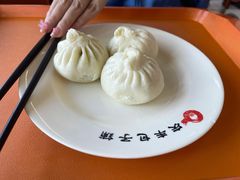 猪肉荠菜包-庆丰包子铺(白塔寺店)