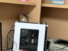 -谐和益家动物医院·免疫绝育·血液透析·宠保定点医院(高新伊藤分院)
