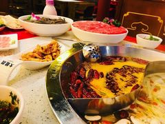 -DaLongYi Hotpot - 大龙燚火锅 - 地道四川老火锅