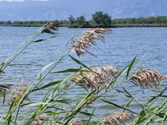 -野鸭湖国家湿地公园
