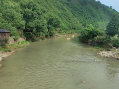 -千岛湖九龙溪漂流