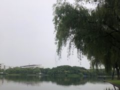 -东华大学(松江校区)